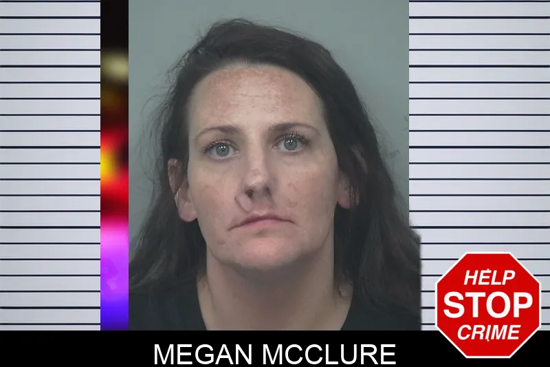 Megan McClure Mugshots