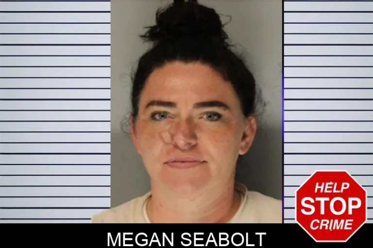 Megan Seabolt mugshot – Hall County , Georgia Megan Seabolt
