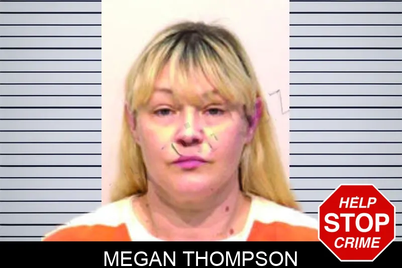 Megan Thompson Mugshots
