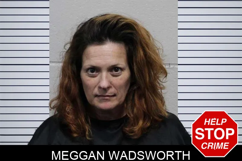 Meggan Wadsworth Mugshots