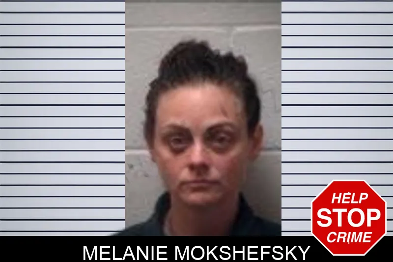 Melanie Mokshefsky mugshot