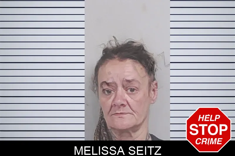 Melissa Seitz mugshot