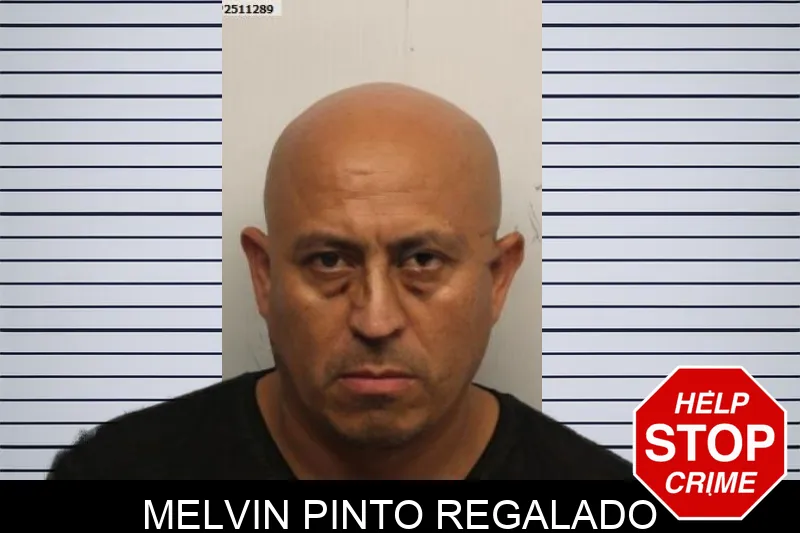 Melvin Pinto Regalado Mugshots