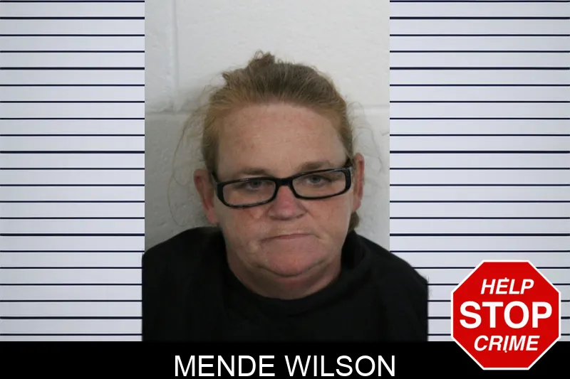 Mende Wilson mugshot