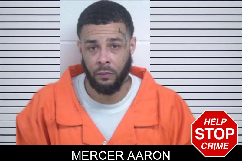 Mercer Aaron Mugshots