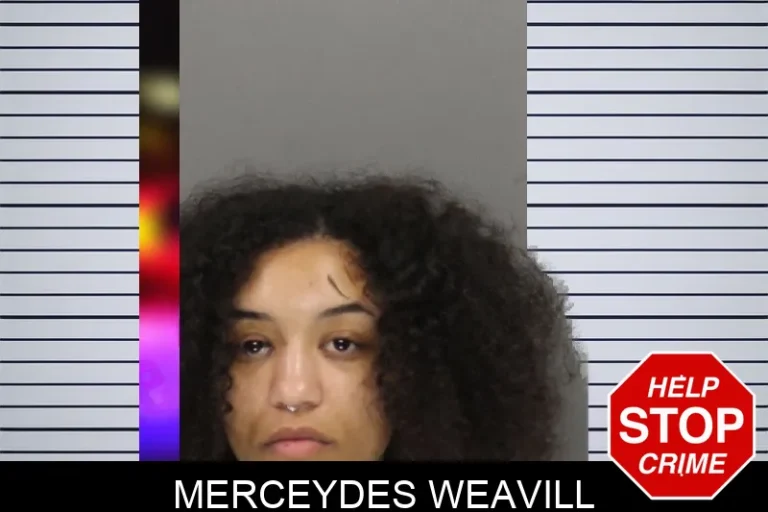 Merceydes Weavill mugshot – Cobb County , Georgia Merceydes Weavill
