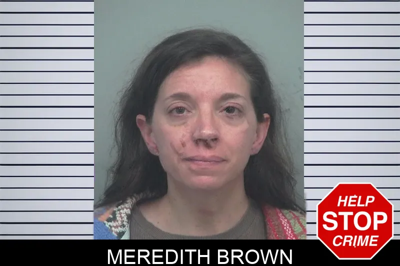 Meredith Brown Mugshots