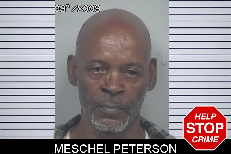 Meschel Peterson mugshot