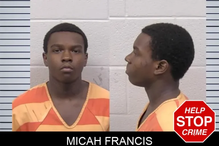 Micah Francis mugshot – Paulding County , Georgia Micah Francis