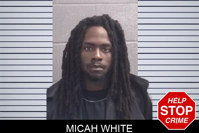 Micah White mugshot – Spalding County , Georgia Micah White mugshot
