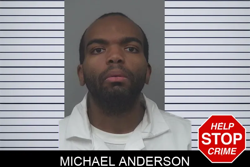 Michael Anderson mugshot