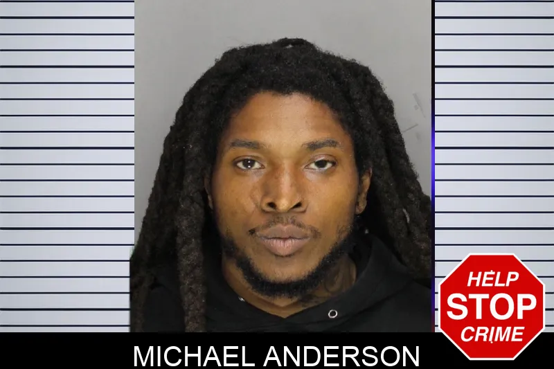 Michael Anderson Mugshots