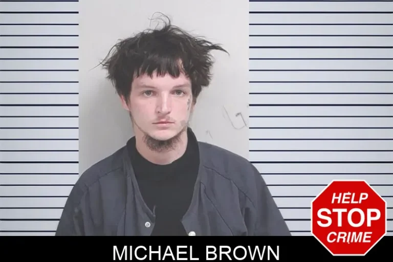 Michael Brown mugshot – Lowndes County , Georgia Michael Brown