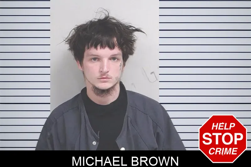 Michael Brown mugshot – Lowndes County , Georgia Michael Brown mugshot