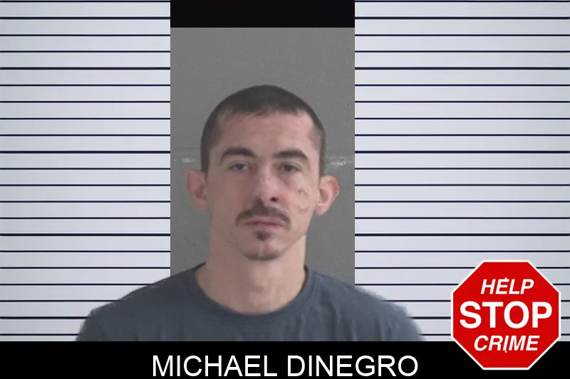 Michael Dinegro Mugshots