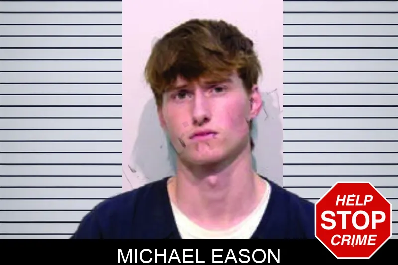 Michael Eason mugshot – Bartow County , Georgia Michael Eason mugshot