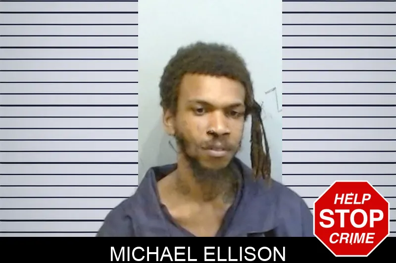 Michael Ellison mugshot