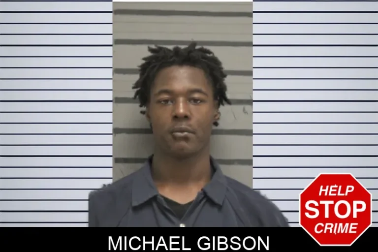 Michael Gibson