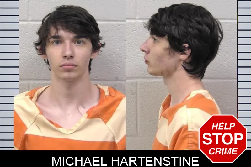 Michael Hartenstine mugshot – Paulding County , Georgia Michael Hartenstine mugshot
