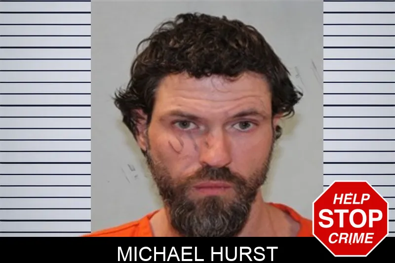 Michael Hurst Mugshots