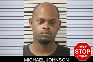 Michael Johnson mugshot