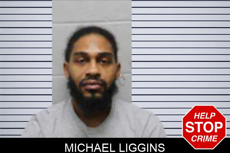 Michael Liggins Mugshots