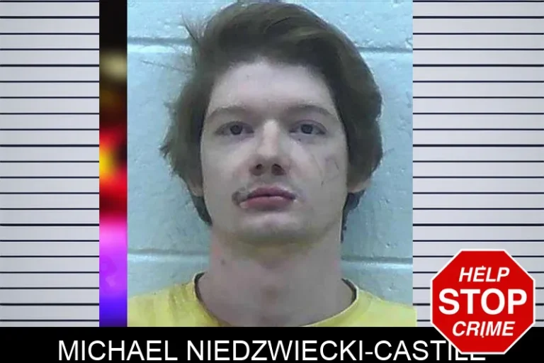 Michael Niedzwiecki-Castile