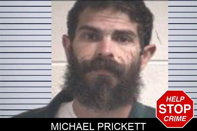 Michael Prickett Mugshots