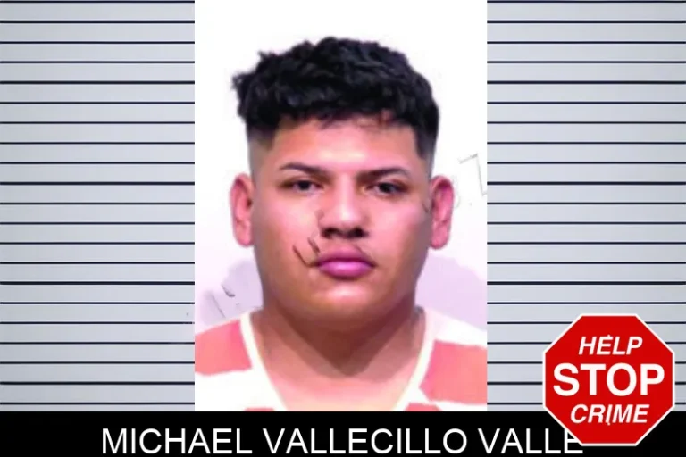 Michael Vallecillo Valle