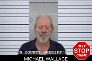 Michael Wallace mugshot