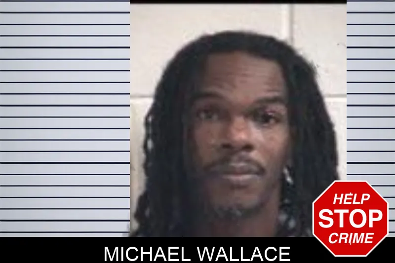 Michael Wallace mugshot – Henry County , Georgia Michael Wallace mugshot