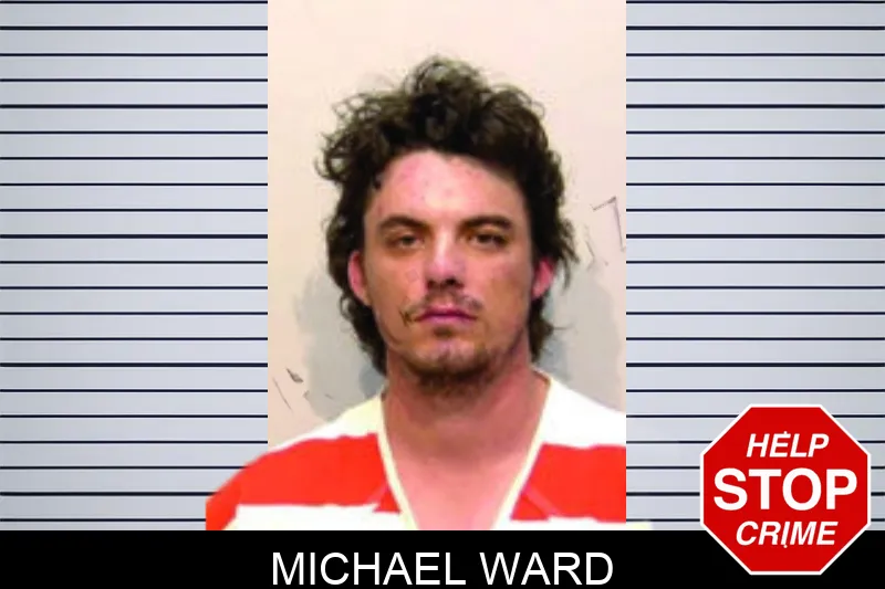 Michael Ward Mugshots