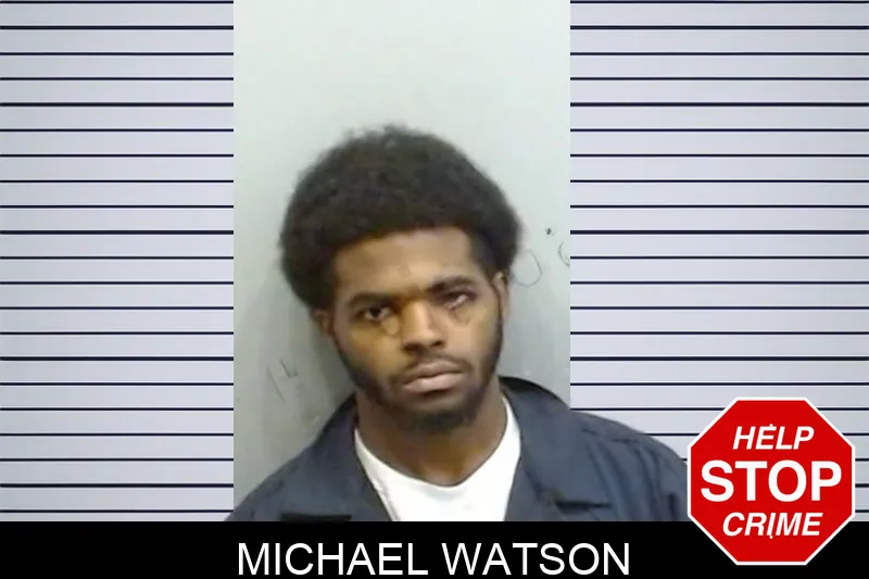 Michael Watson mugshot