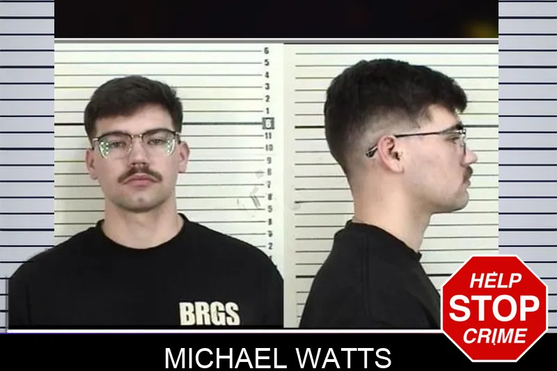 Michael Watts Mugshots