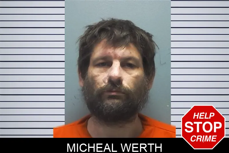 Micheal Werth mugshot – Cherokee County , Georgia Micheal Werth mugshot