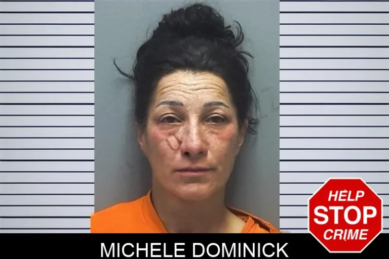Michele Dominick mugshot – Cherokee County , Georgia Michele Dominick