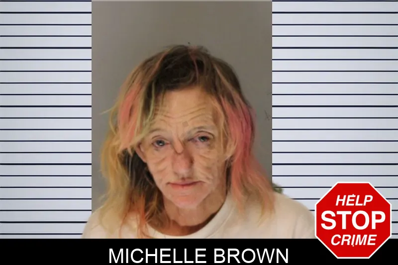 Michelle Brown Mugshots