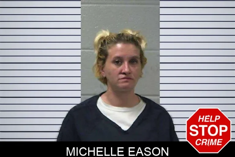 Michelle Eason mugshot – Gilmer County , Georgia Michelle Eason
