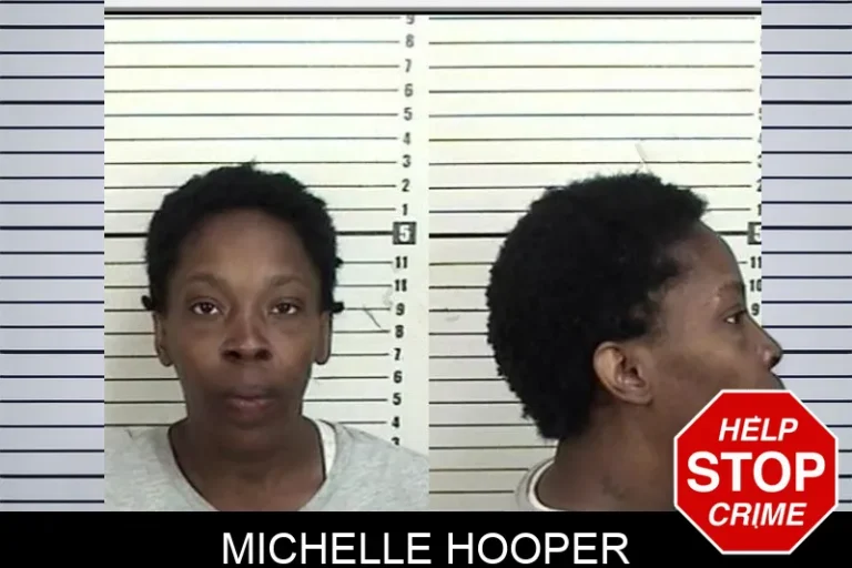 Michelle Hooper mugshot – Camden County , Georgia Michelle Hooper