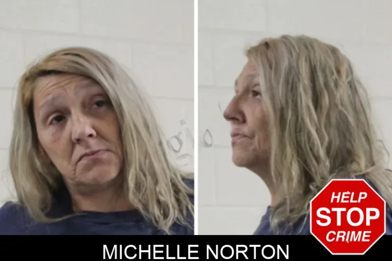 Michelle Norton mugshot – Houston County , Georgia Michelle Norton