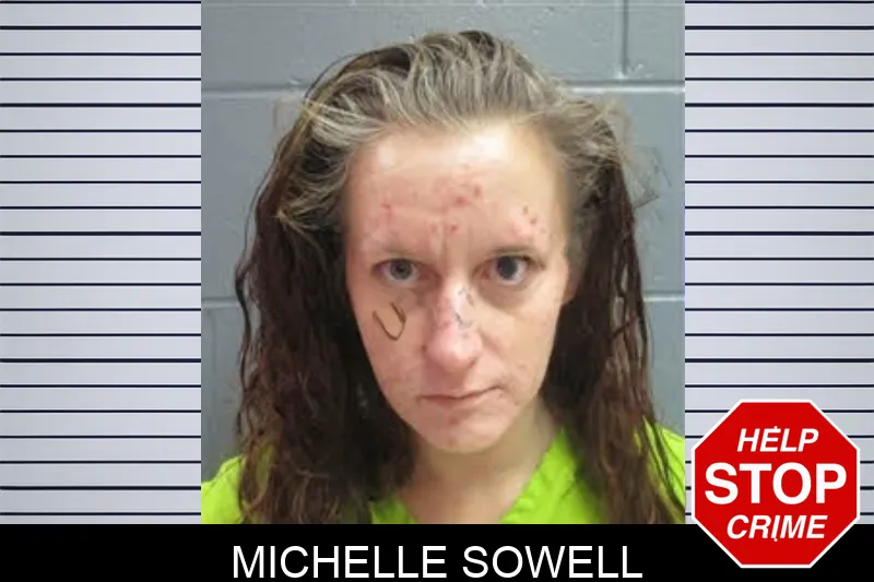 Michelle Sowell