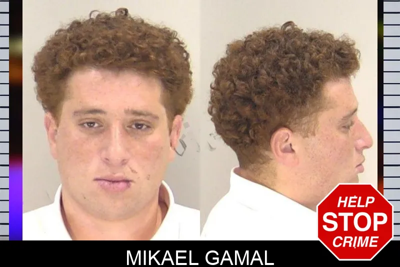 Mikael Gamal Mugshots
