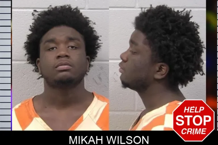 Mikah Wilson mugshot – Paulding County , Georgia Mikah Wilson