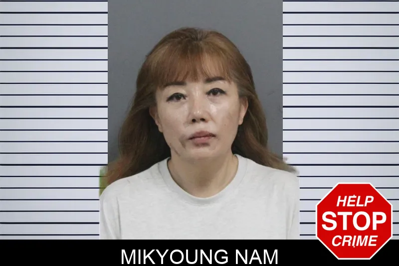 Mikyoung Nam Mugshots