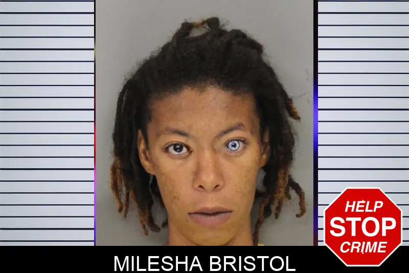 Milesha Bristol Mugshots