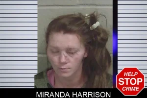 Miranda Harrison mugshot