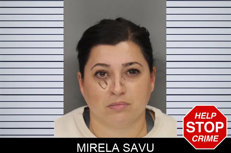 Mirela Savu mugshot – Cobb County , Georgia Mirela Savu mugshot