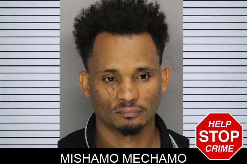 Mishamo Mechamo mugshot