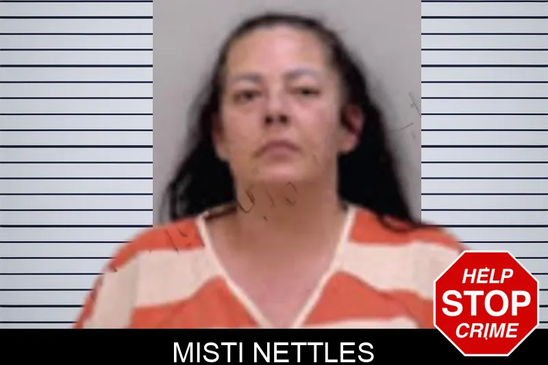 Misti Nettles