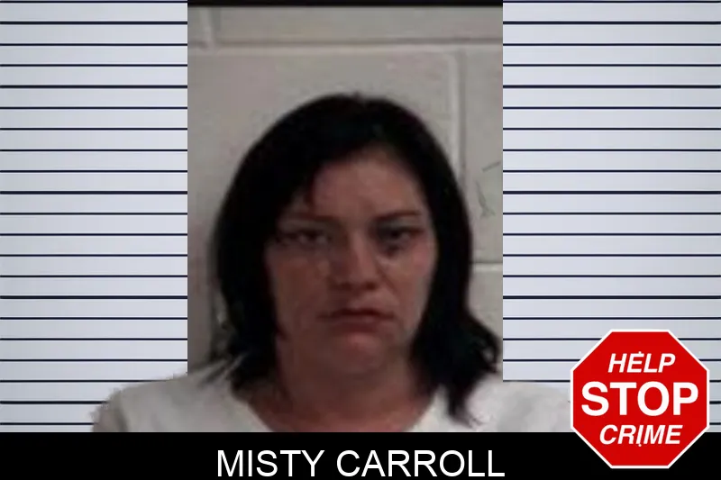 Misty Carroll mugshot – Henry County , Georgia Misty Carroll mugshot